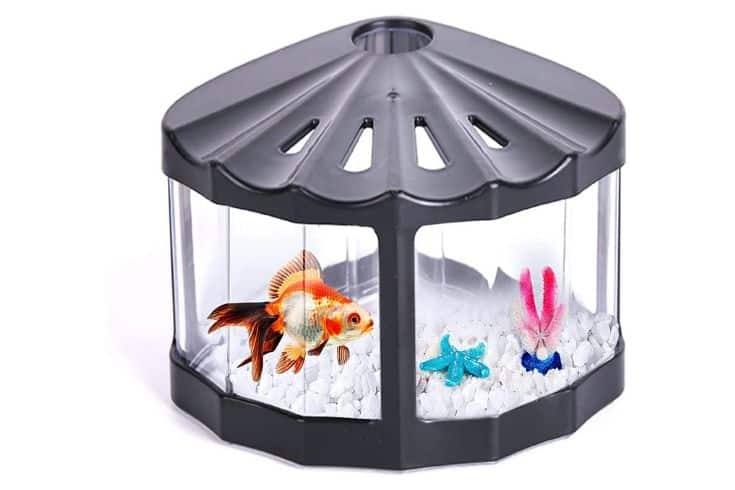 Aquarium - Betta Fish Bowl Goldfish Aquarium Set Beta Fish Bowl for Crabs Turtles Reptiles Jellyfish Shrimp Algae Insects