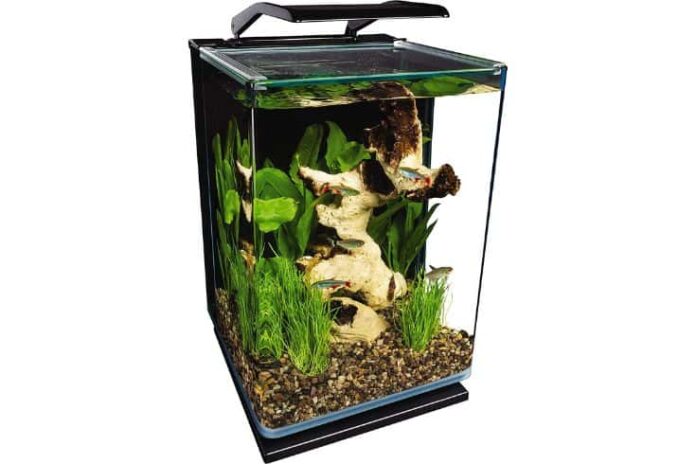 Greatest Tank For Guppies – Critiques and Purchaser’s Information 